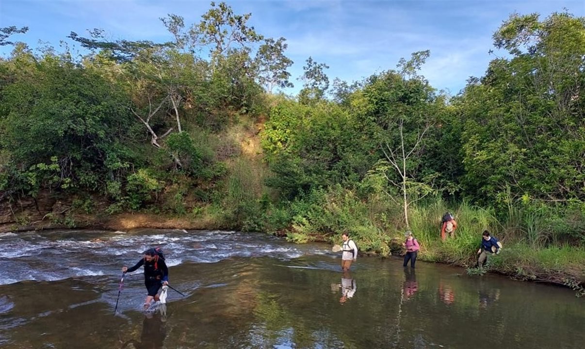 caminho dos veadeiros 5